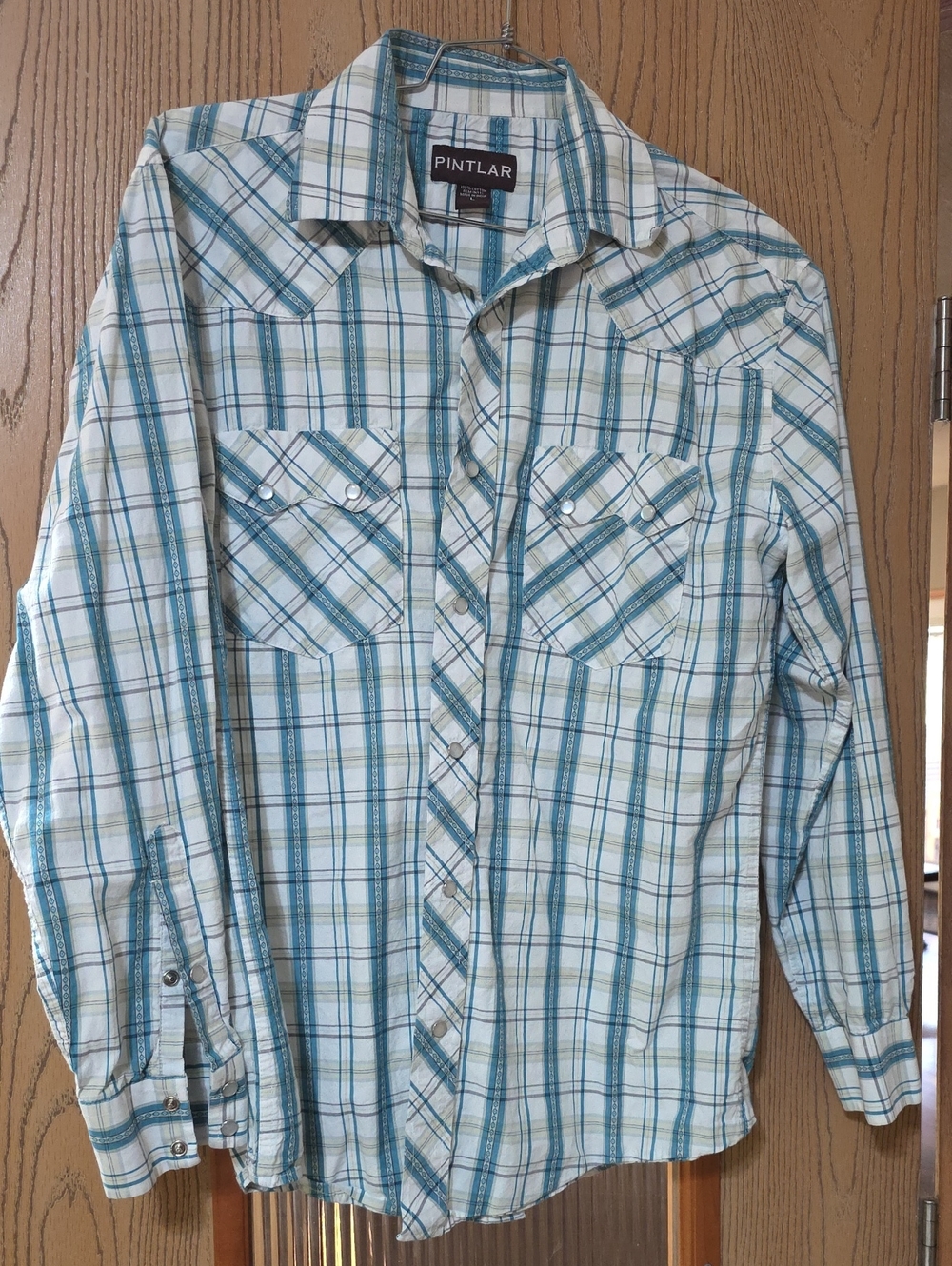 Men's Teal and White Plaid Button-Down Shirt